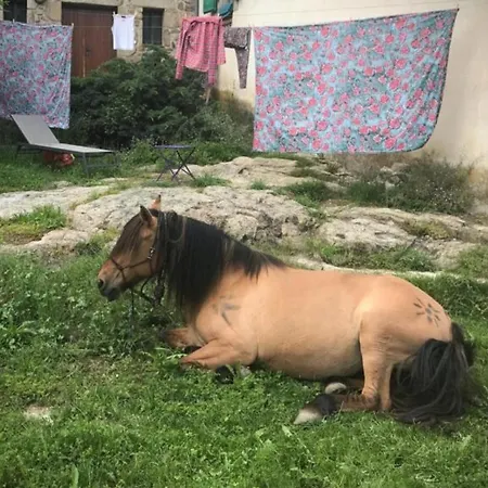 El Temps De Les Cireres